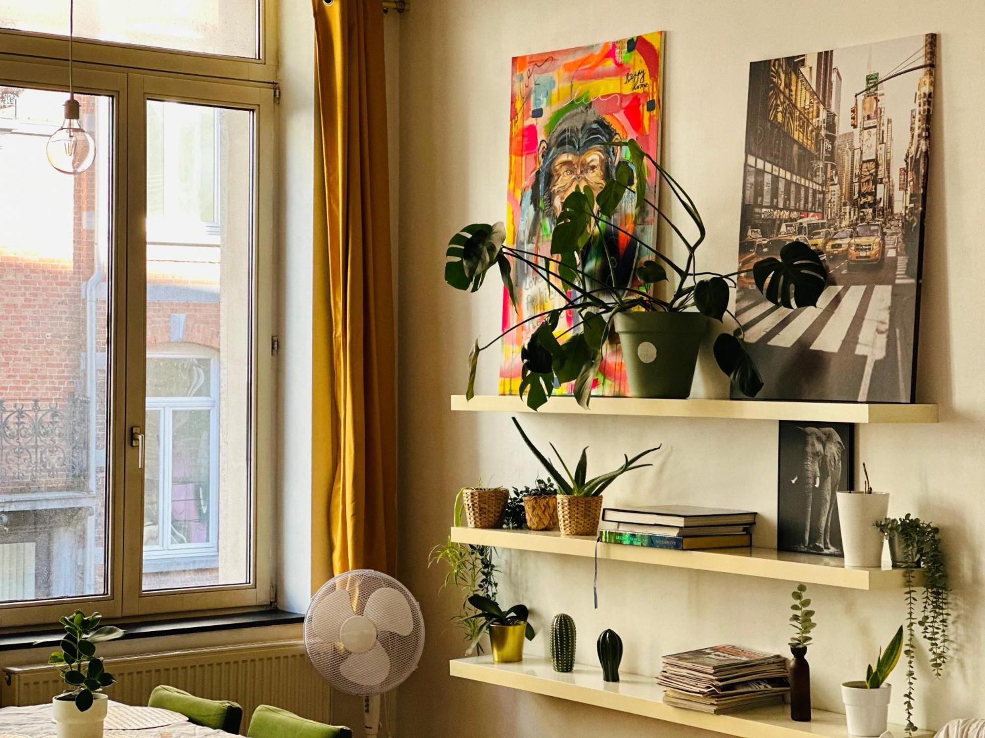 Down-Town 1 Bedroom Flat Βρυξέλλες Εξωτερικό φωτογραφία